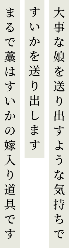 大事な娘を送り出すような気持ちですいかを送り出します。まるで藁はすいかの嫁入り道具です。