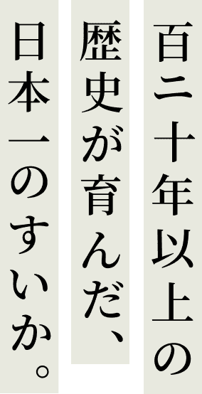 百二十年以上の歴史が育んだ、日本一のすいか。